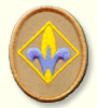 webelos.jpg - 5645 Bytes